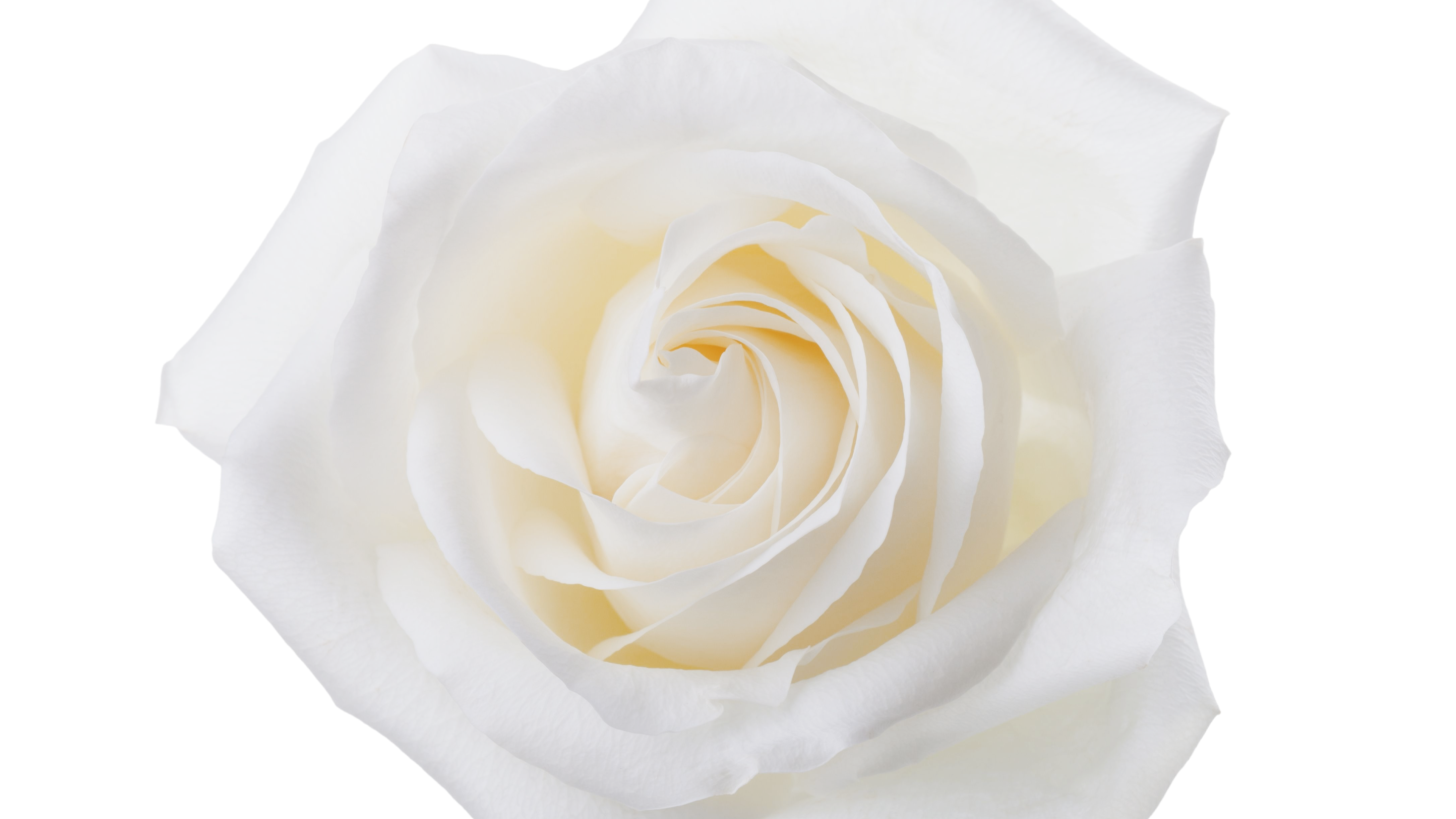 Restoring the Sacred Feminine