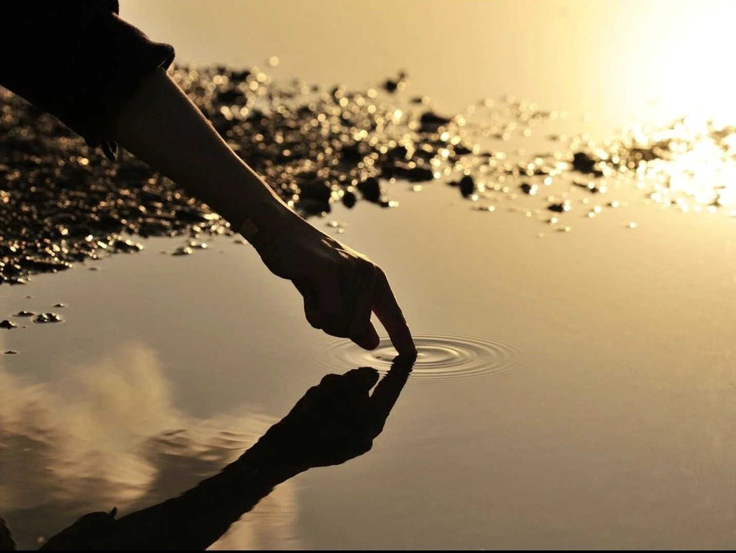 Fascia and Trauma: The Tissue That Remembers What the Mind Forgets